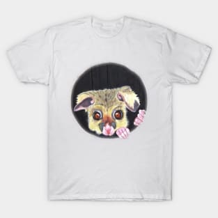 Possum T-Shirt